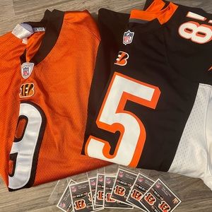 Bengals lot